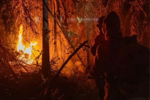 Brasil: “Queimadas” Brasil registra aumento de 79% de áreas queimadas em 2024, aponta MapBiomas