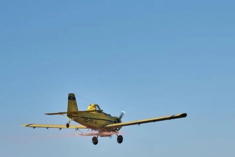 Brasil: “Acidente” Outro avião cai em fazenda e piloto morre